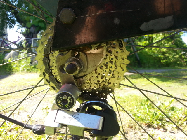 20160719_094728.jpg