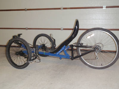 trex04.jpg