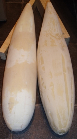 Cone2 vas Cone 3 Oik 260212.JPG