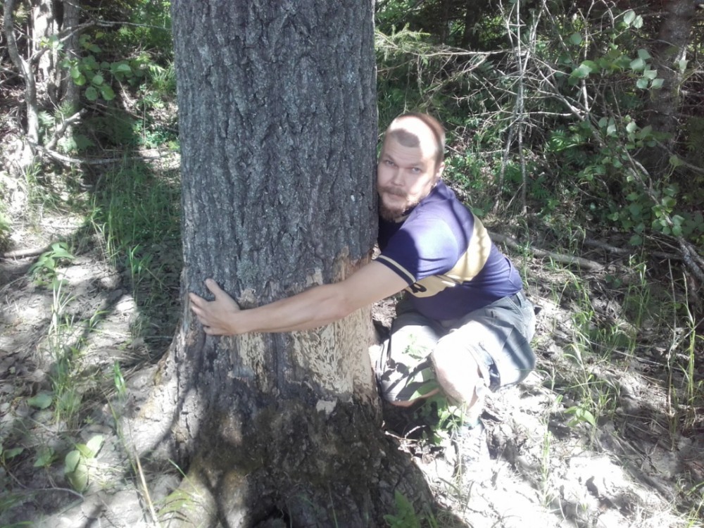 5232018174928.jpg (446.98 KiB) Katsottu 6252 kertaa Yli sylin