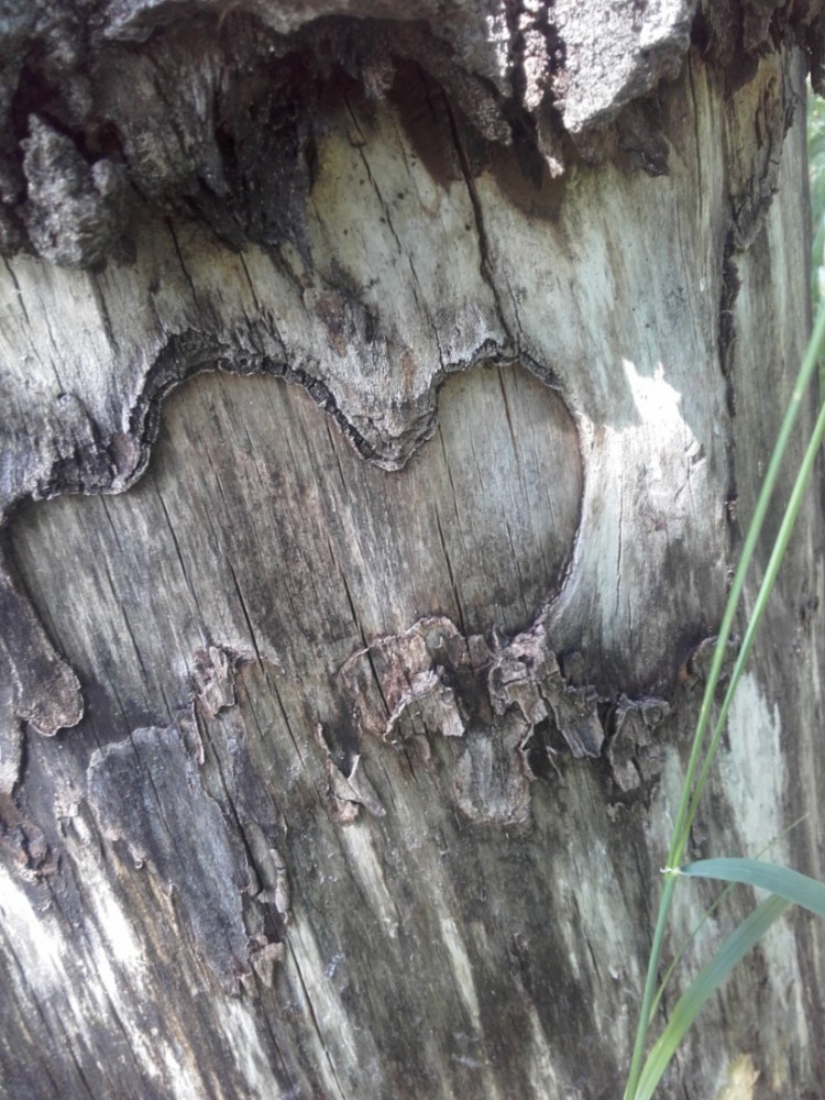 5232018174820.jpg (365.71 KiB) Katsottu 6252 kertaa Tuplaten ja vielä syvemmän