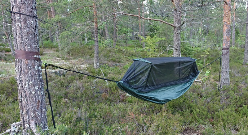 DD hammock Travel.JPG