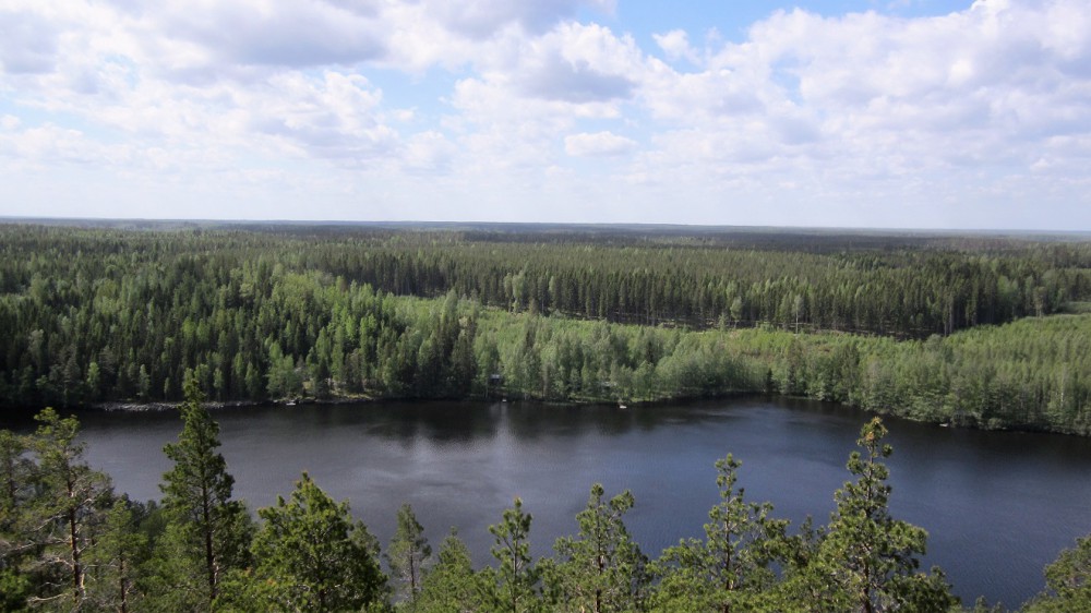 Näkötornilta etelään päin maisemaa.