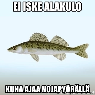 ei-iske-alakulo-kuha-ajaa-nojapyrll.jpg