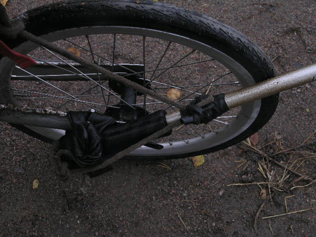P1011295.JPG
