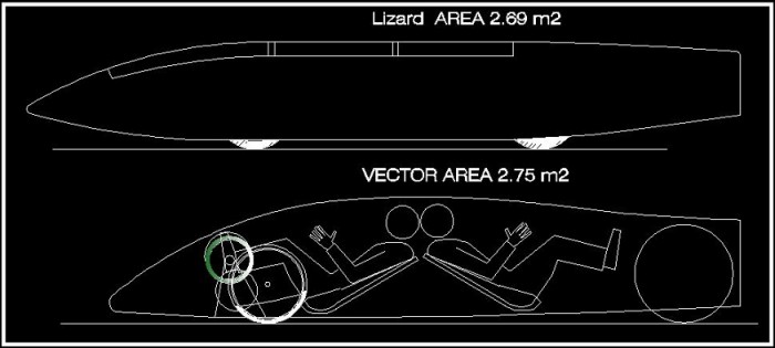lizzie-vectorTandem.jpg