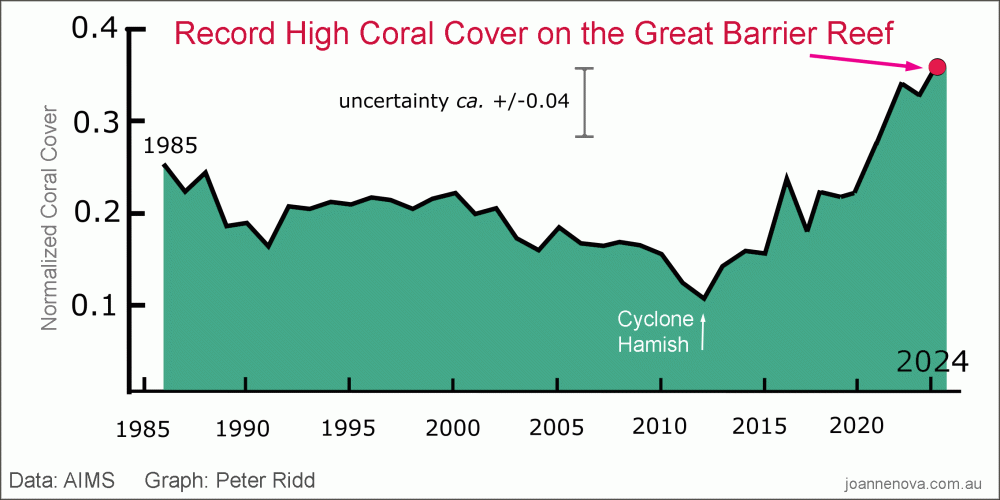 great-barrier-record-coral-2024-1.gif
