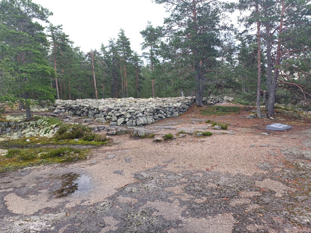 20240716_090245.jpg