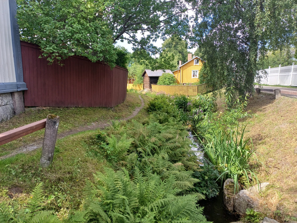 20240716_115711.jpg