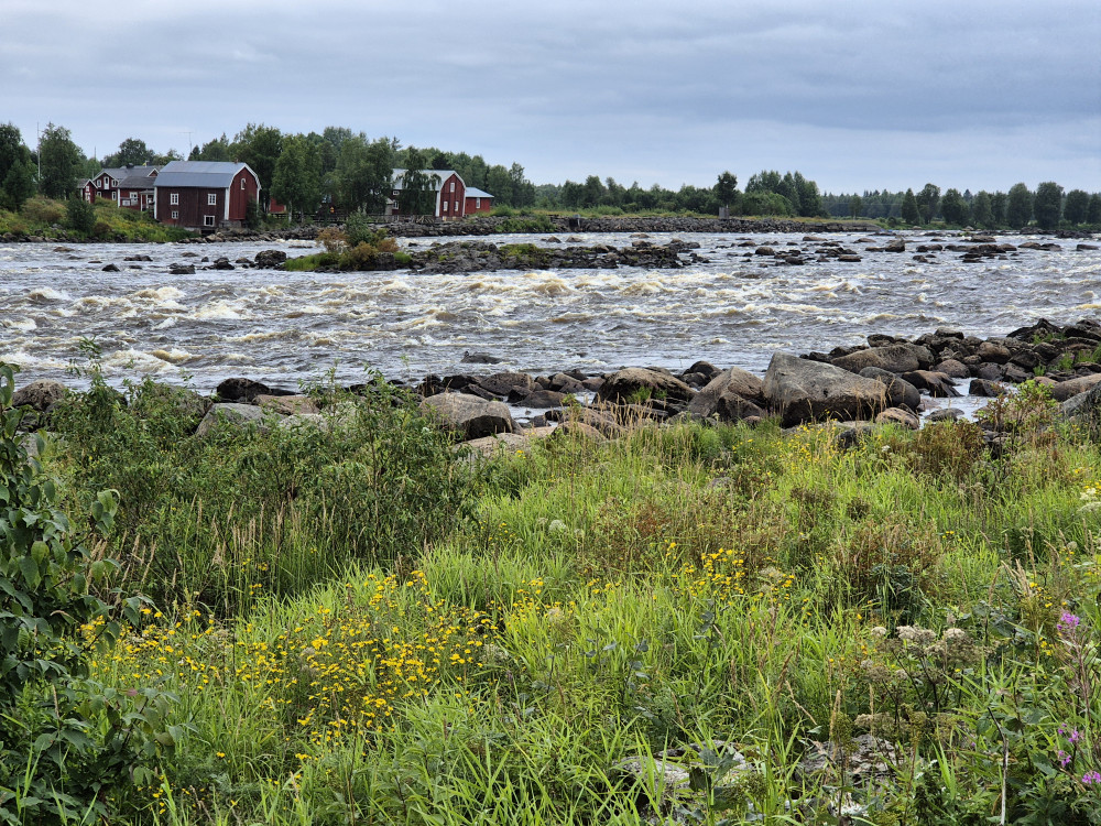 Kukkolankoski