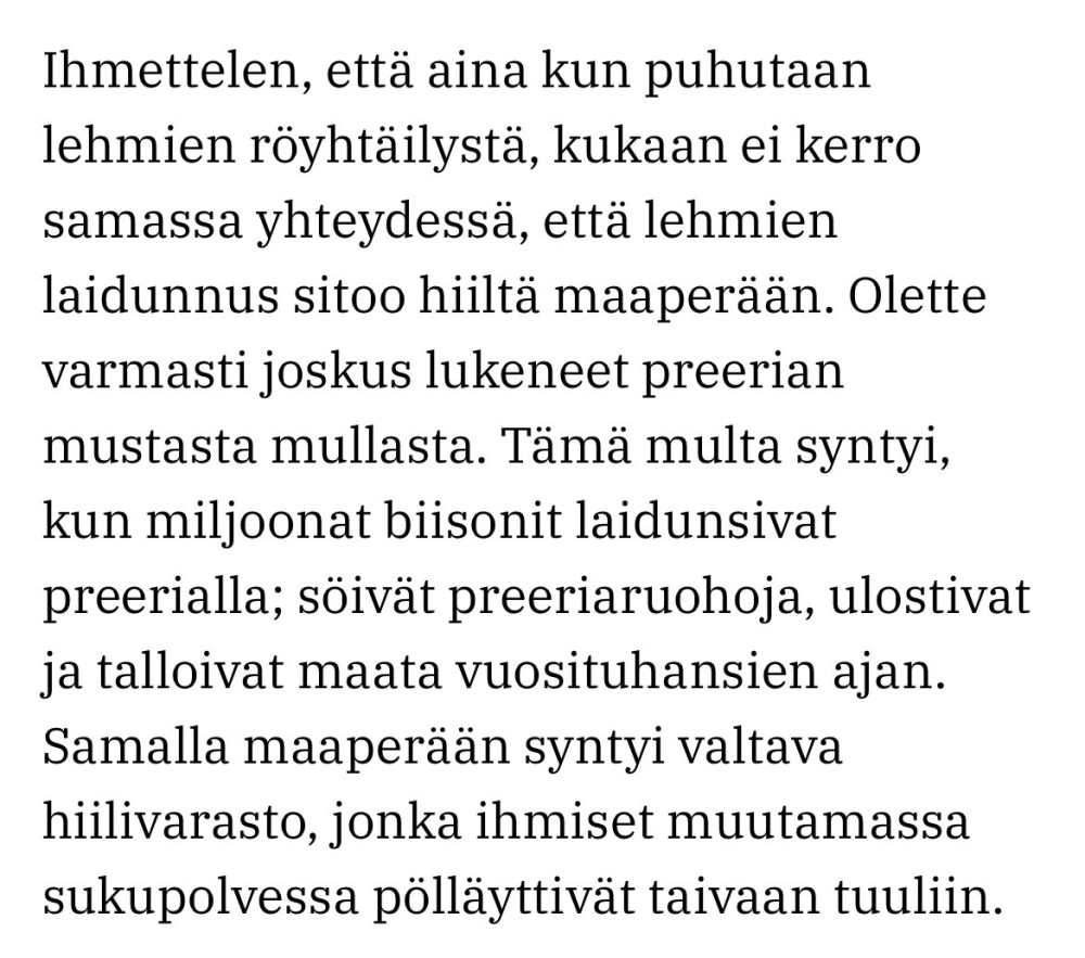 Kaaro lehmistä2.jpeg
