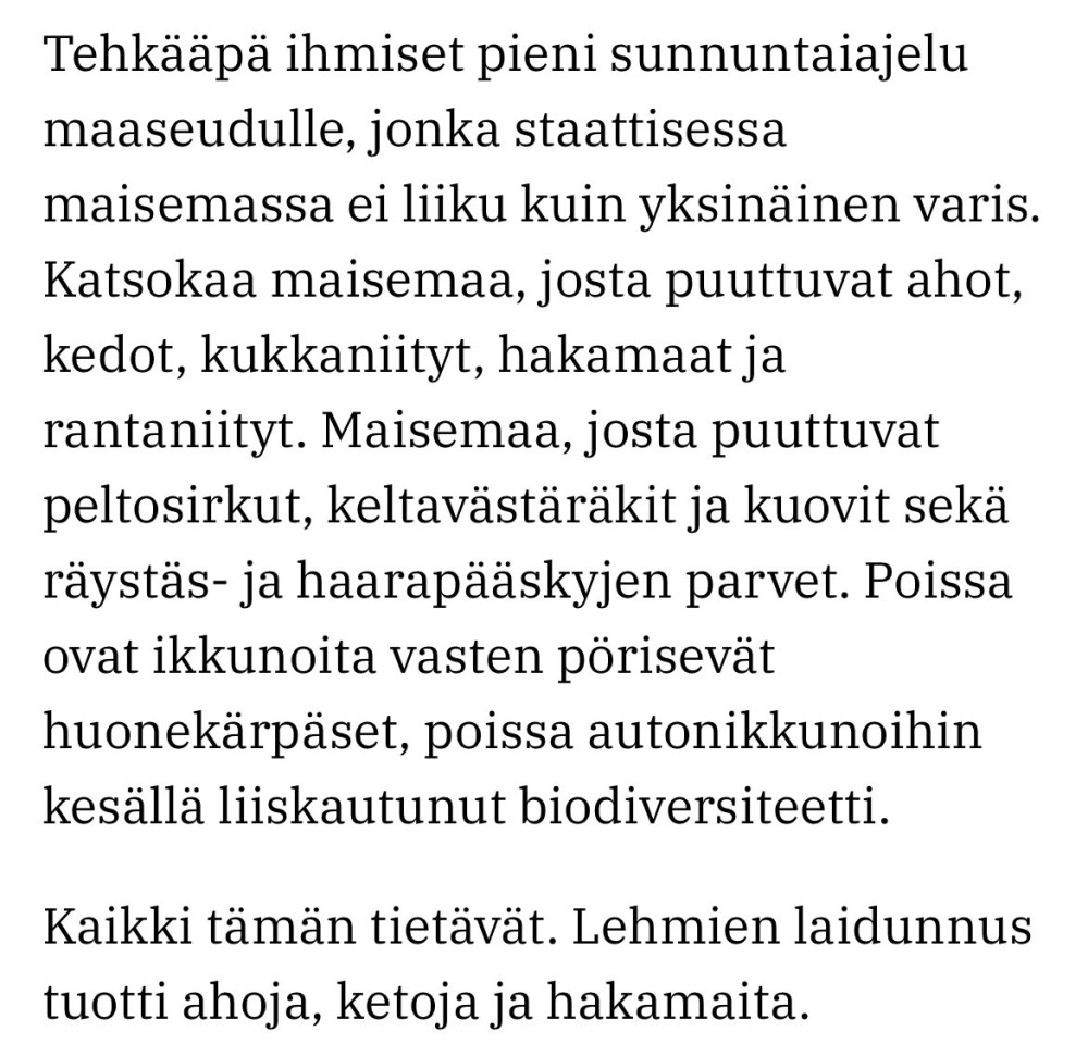 Kaaro lehmistä1.jpeg