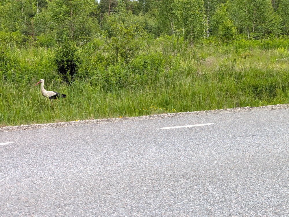 ResizedImage_2026-06-24_05-55-40_5022[6].jpg