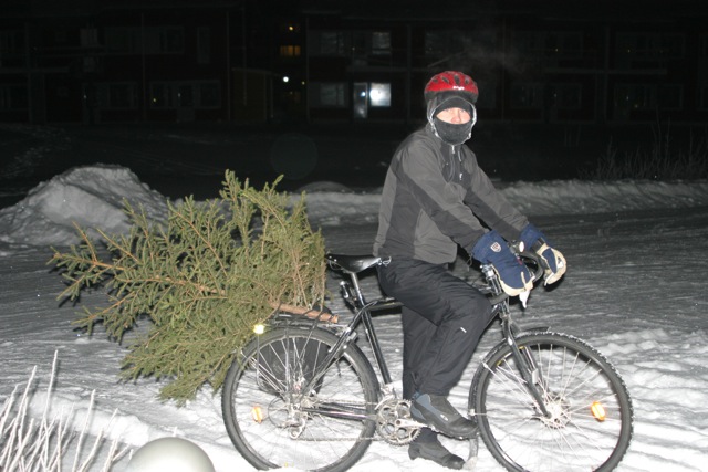 joulukuusi.jpg