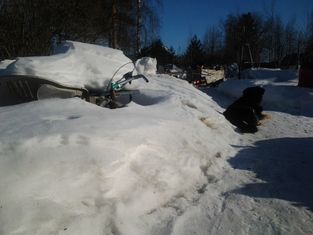 2013-03-28 08.27.27.jpg