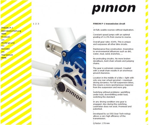 Pinion.jpg
