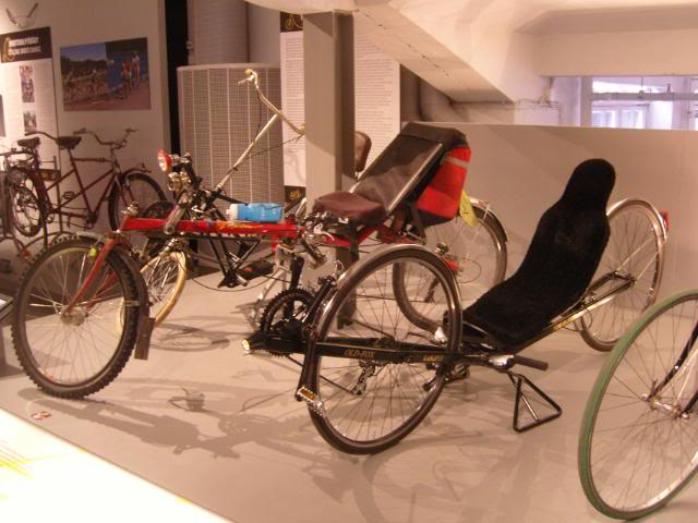 SNC10398.jpg