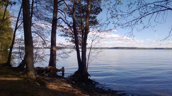 WP_20150524_005.jpg