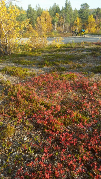 PicsPlay_1442173311614.jpg (284.93 KiB) Katsottu 9306 kertaa Maaruskaa