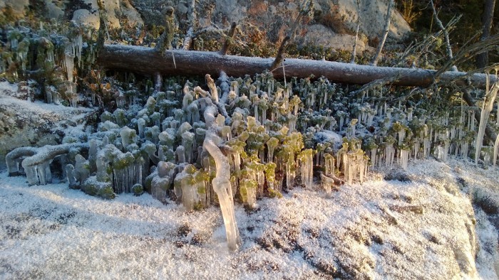 WP_20160102_015.jpg
