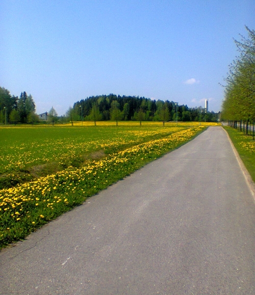 keltaset pellot.jpg