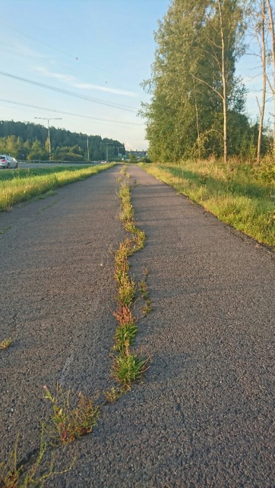 PhotoPictureResizer_160729_22105281836-600x1067.jpg (283.09 KiB) Katsottu 4805 kertaa Viherkaista