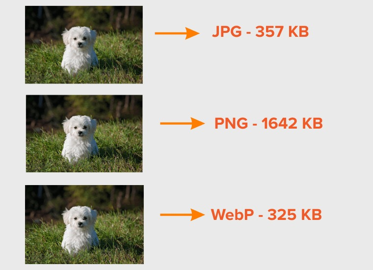 01-06-2026, 09-18-33.png