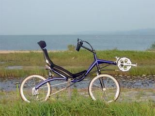 Recumbent_Owner125-2292232125.jpg