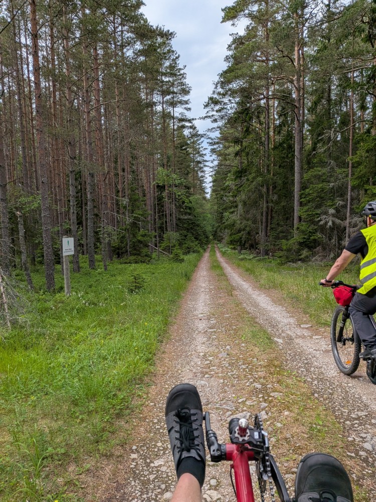 ResizedImage_2026-06-26_21-08-39_6484[4].jpg