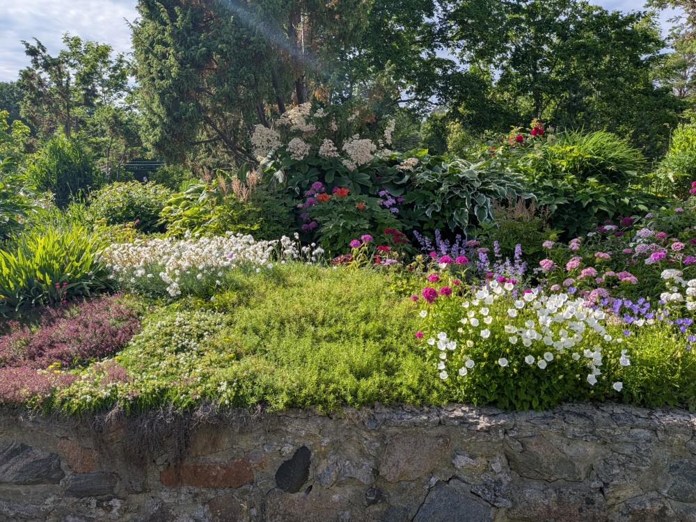 ResizedImage_2026-06-27_18-45-50_9810[7].jpg