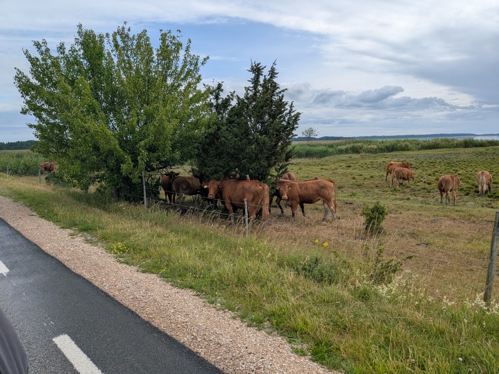 ResizedImage_2026-06-27_19-07-06_7673[26].jpg