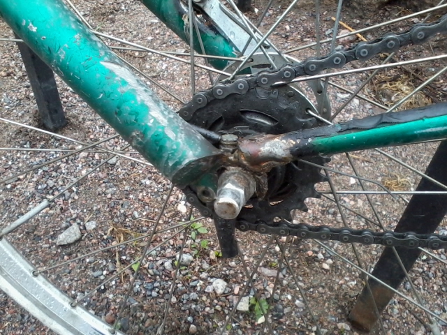 2014-05-11 12.54.50.jpg