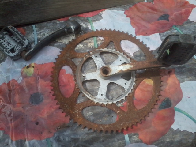 2015-06-27 10.47.59.jpg