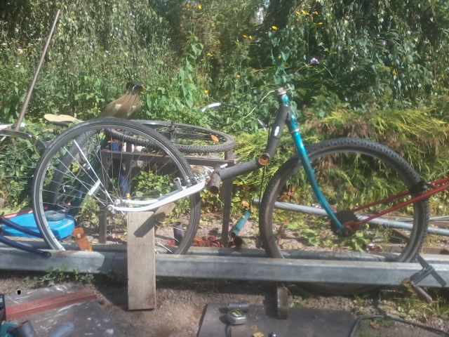 2015-08-09 11.40.12.jpg